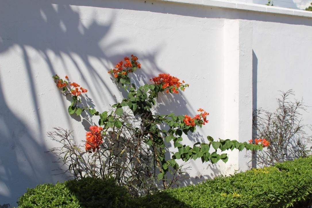 Idc Guest House バガモヨ エクステリア 写真